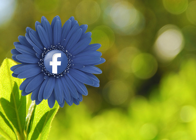 Facebook Flower